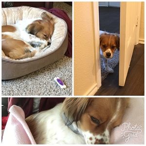 Meet your Posher, Debra